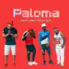 El Valiente, La Rabia 24, El Cheo 18 & Big Flow - Paloma - Single